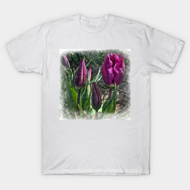 Dark Purple Tulips Opening T-Shirt by KirtTisdale